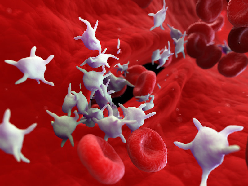 COVID-19 Menyebabkan "Hiperaktif" dalam Sel Pembekuan Darah